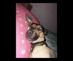 Pilnie potrzebuje pomocy