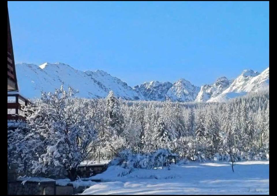 Zakopane | 22/23–25.01