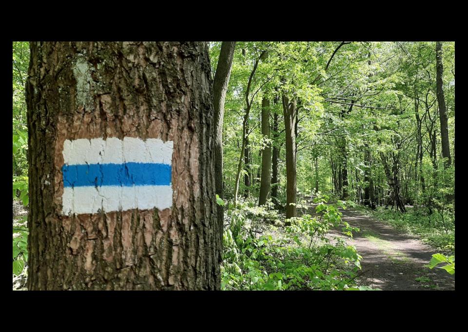 Szukam tras (szlaków) do przejścia pieszo