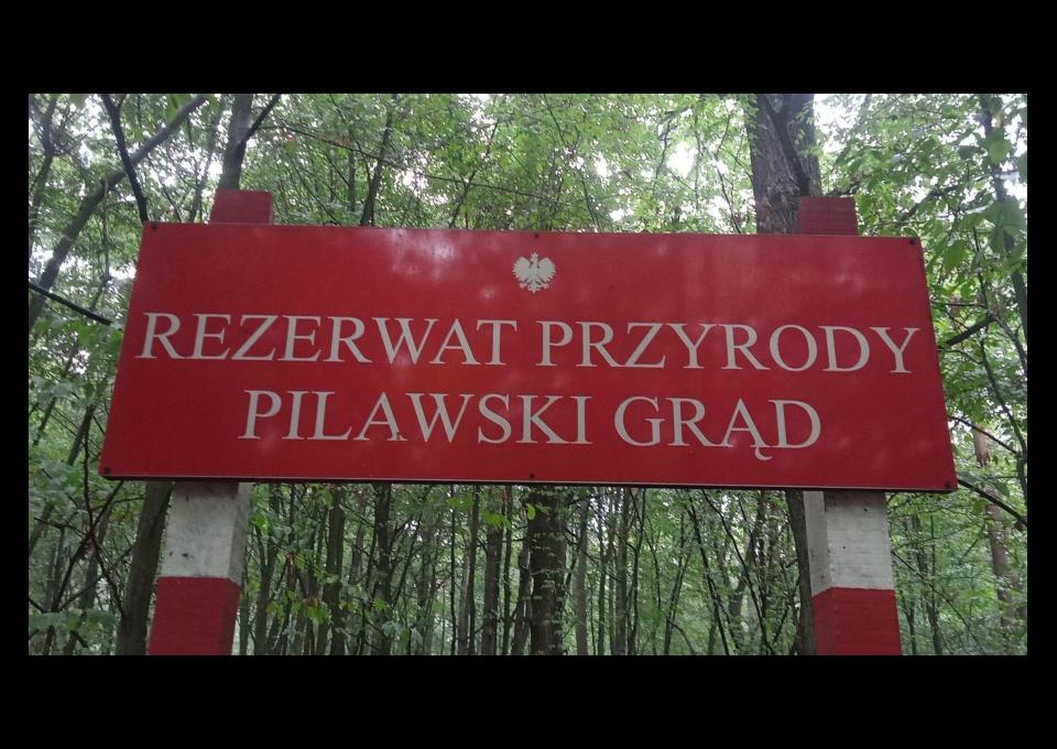 25.01 - Pilawski Grąd, zimowa wycieczka piesza