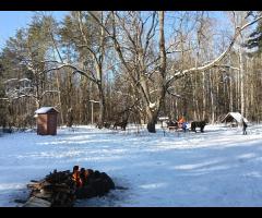 01.02 - Grupa Łazik zaprasza do Puszczy Kampinoskiej, zimowa wycieczka piesza - 3/11