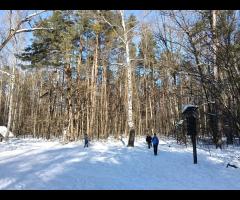 01.02 - Grupa Łazik zaprasza do Puszczy Kampinoskiej, zimowa wycieczka piesza - 4/11