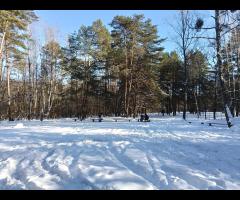 01.02 - Grupa Łazik zaprasza do Puszczy Kampinoskiej, zimowa wycieczka piesza - 6/11