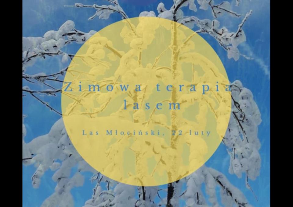 22.02 - Zimowa Terapia Lasem uziemiająco - regenerująca ciało i umysł