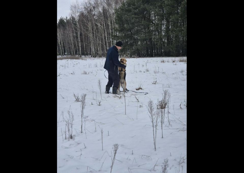 Młoda, radosna Mona w typie owczarka szuka domu!
