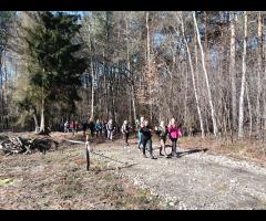 01.03 - Pętla Międzylesie - prawie wiosenna wycieczka piesza - 5/15