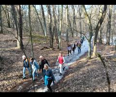01.03 - Pętla Międzylesie - prawie wiosenna wycieczka piesza - 10/15