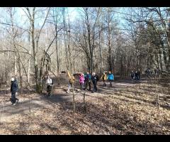 08.03 - Czas na Kampinos: pętla Dziekanów Leśny, kolejna prawie wiosenna wycieczka piesza - 4/16