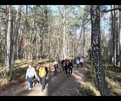 08.03 - Czas na Kampinos: pętla Dziekanów Leśny, kolejna prawie wiosenna wycieczka piesza - 7/16