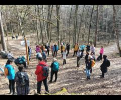 08.03 - Czas na Kampinos: pętla Dziekanów Leśny, kolejna prawie wiosenna wycieczka piesza - 9/16