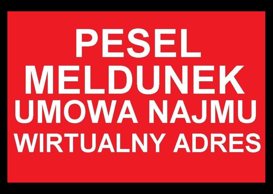 oferuje LEGALNY MELDUNEK
