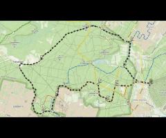 15.03 - Czas na Kampinos c.d. - wyprawa piesza na Górę Ojca i Łużową Górę - 3/4