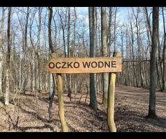 21.03 - Grupa Łazik zaprasza na pierwszy wiosenny spacer: Rembertów - Stara Miłosna - Międzylesie - 3/5