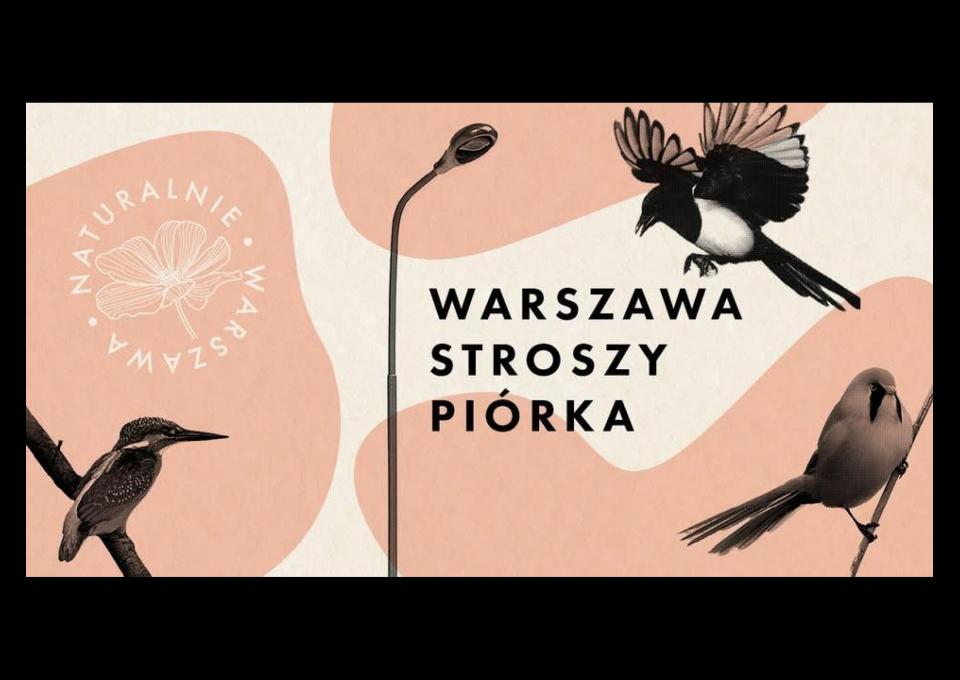 27.03 - Spacerem do pracy przez park Świętokrzyski