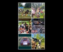 Wyjątkowa edukacja dla dzieci z udziałem koni.