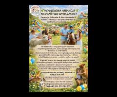 Wyjątkowa edukacja dla dzieci z udziałem koni. - 2/2