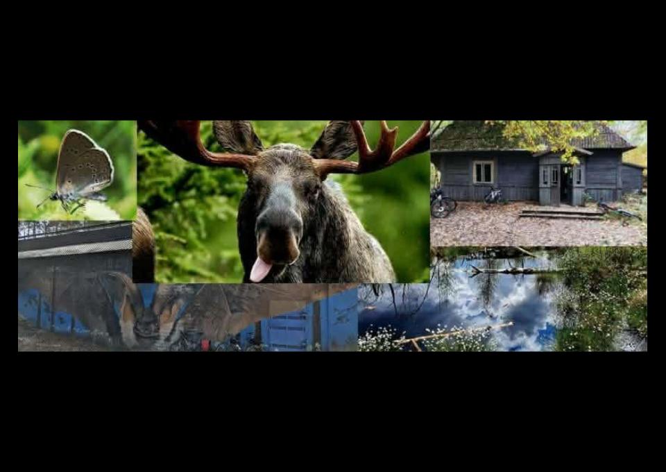 12.04 - Między wydmą, a bagnem. Kampinoski Park Narodowy w ogóle i w szczególe