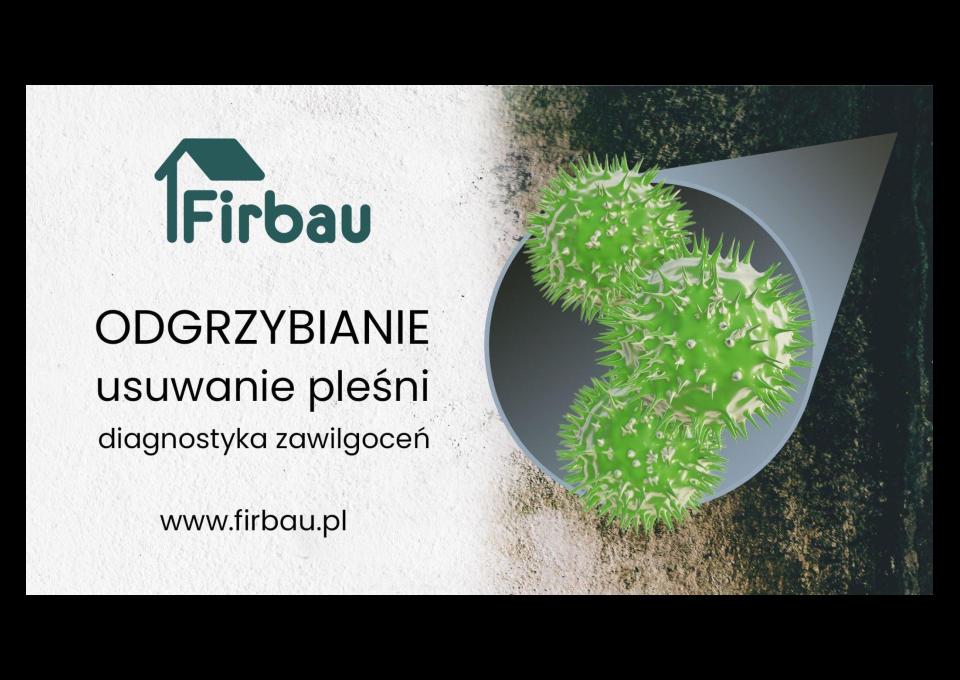 odgrzybianie budynków odgrzybianie ścian usuwanie pleśni