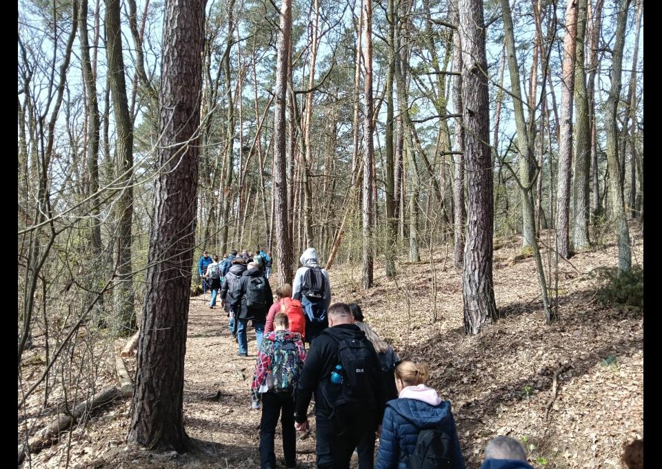 12.04 - Czas na Kampinos: Karpaty, Zamczysko i Sosna Powstańców, wycieczka piesza