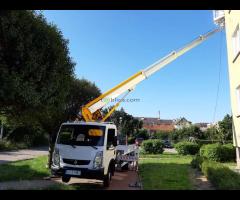 Sekcyjna ścinka drzew - 5/6