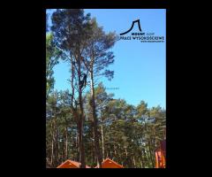 Sekcyjna ścinka drzew - 6/6