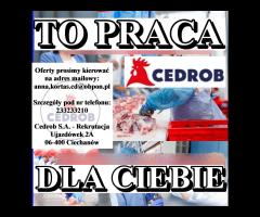 Pracownik produkcji w Zakładzie Surowców Paszowych (K/M) Zakład Surowców Paszowych w Ujazdówku