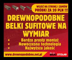 Drewnopodobne belki i deski na wymiar - PRÓBKI JEDYNE 20 PLN - 3/9