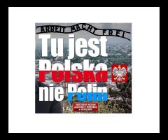 MUZEUM OBOZU W OŚWIĘCIMIU - TU JEST POLSKA NIE Polin - 1/4