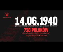 MUZEUM OBOZU W OŚWIĘCIMIU - TU JEST POLSKA NIE Polin - 2/4