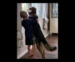 Neska - domowa, rodzinna sunia szuka aktywnego domu! - 3/6